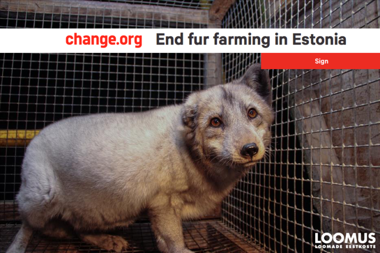 International Petition Calls On Estonia To Ban Fur Farms Loomus