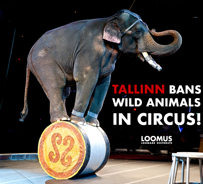 Tallinn bans wild animals in circuses - Loomus